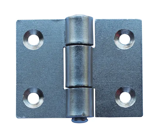 Ss Flat Hinges