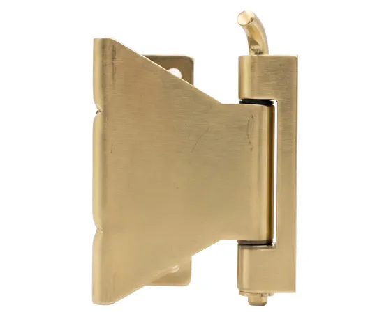 SS Hinges