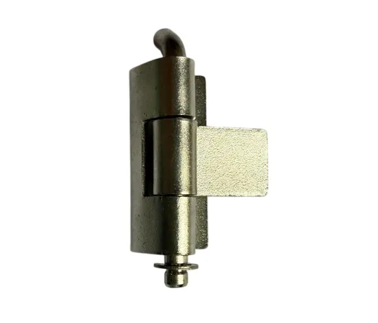 SS Hinges