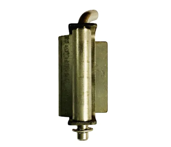 SS Hinges