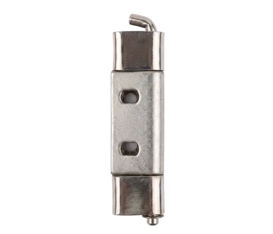 SS Hinges