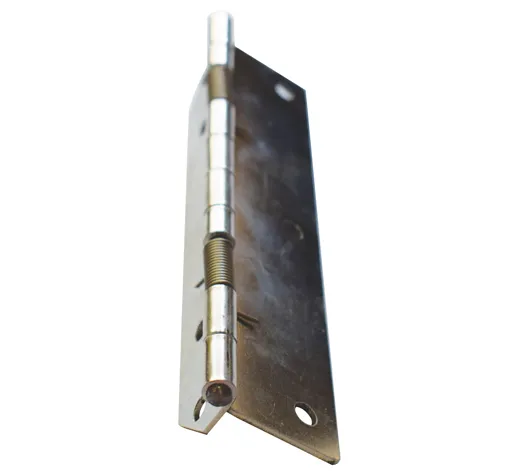Ss Spring Hinges