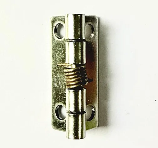 Ss Spring Hinges