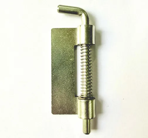Ss Spring Hinges