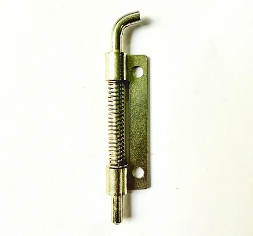 Ss Spring Hinges